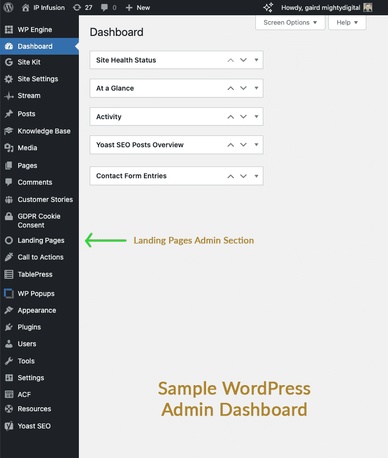 IP Infusion WordPress Admin Dashboard